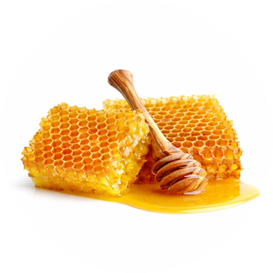 Honey Beekeeping Equipment